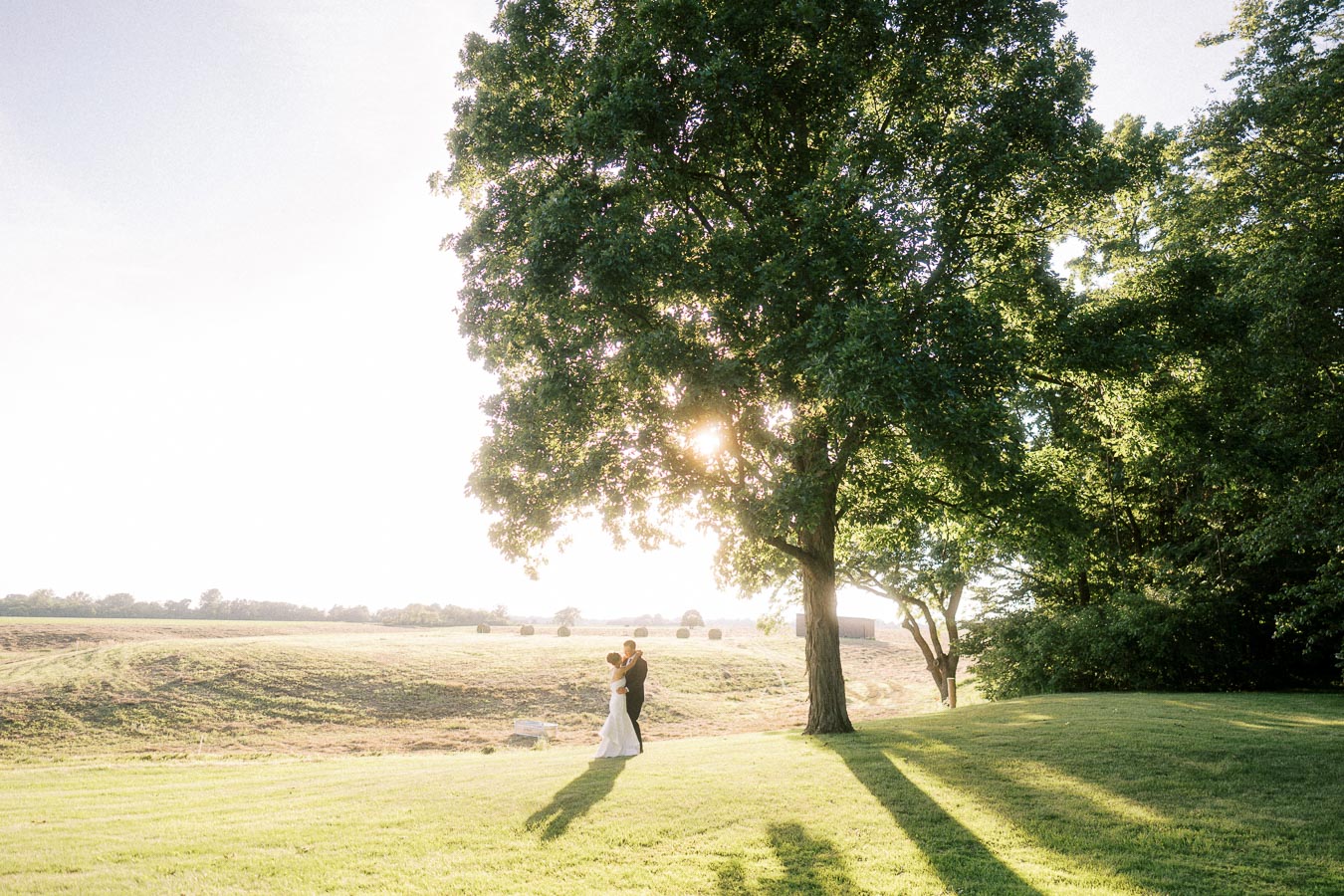 Bride and groom standing together under a large tree at sunset on a private farm estate near Chatham-Kent, Ontario, Canada.