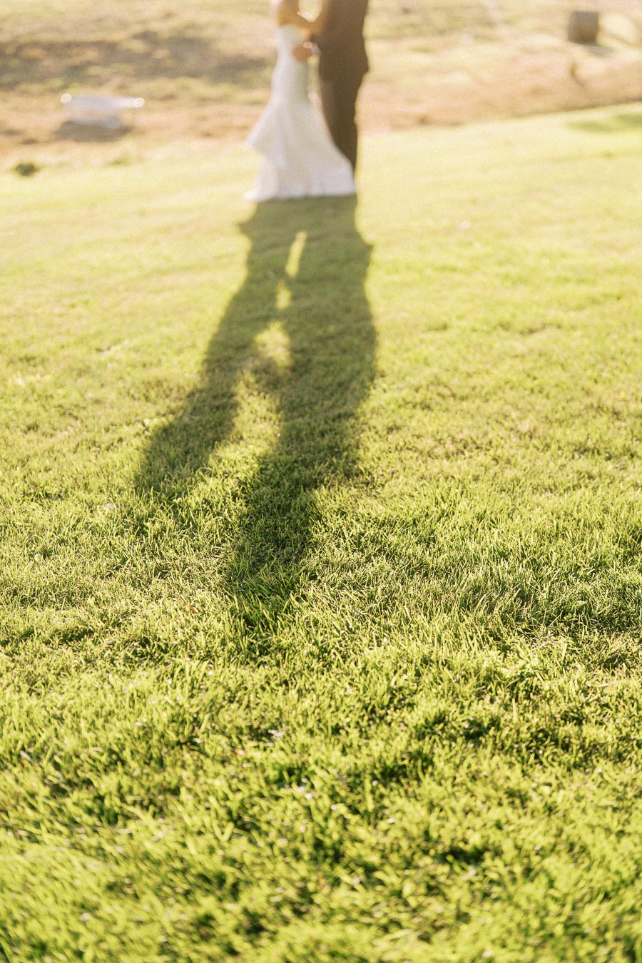 Blurred bride and groom standing on a sunlit lawn during an outdoor farm wedding near Chatham-Kent, Ontario, with long evening shadows on grass.