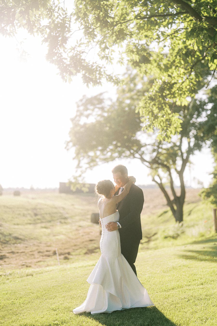 Bride and groom embracing in golden sunlight on a grassy farm estate near Chatham Kent Ontario.