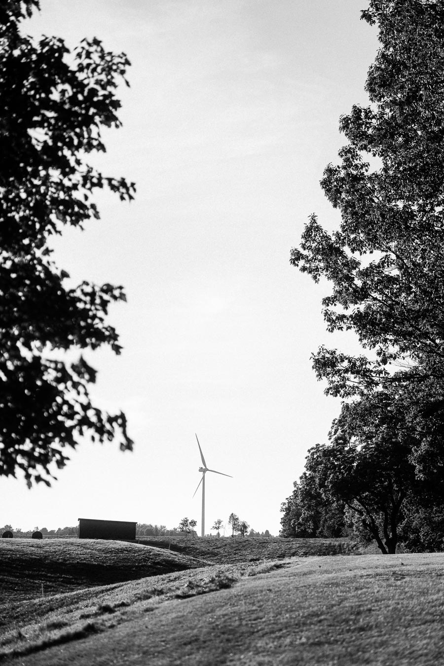 Black and white rural farm landscape near Chatham-Kent, Ontario with a wind turbine, open fields, barn, and trees on private property.
