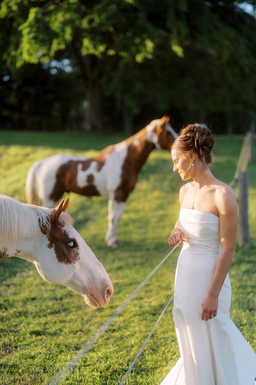Bride in a white gown standing in a grassy farm pasture with two paint horses during golden hour near Chatham-Kent, Ontario.