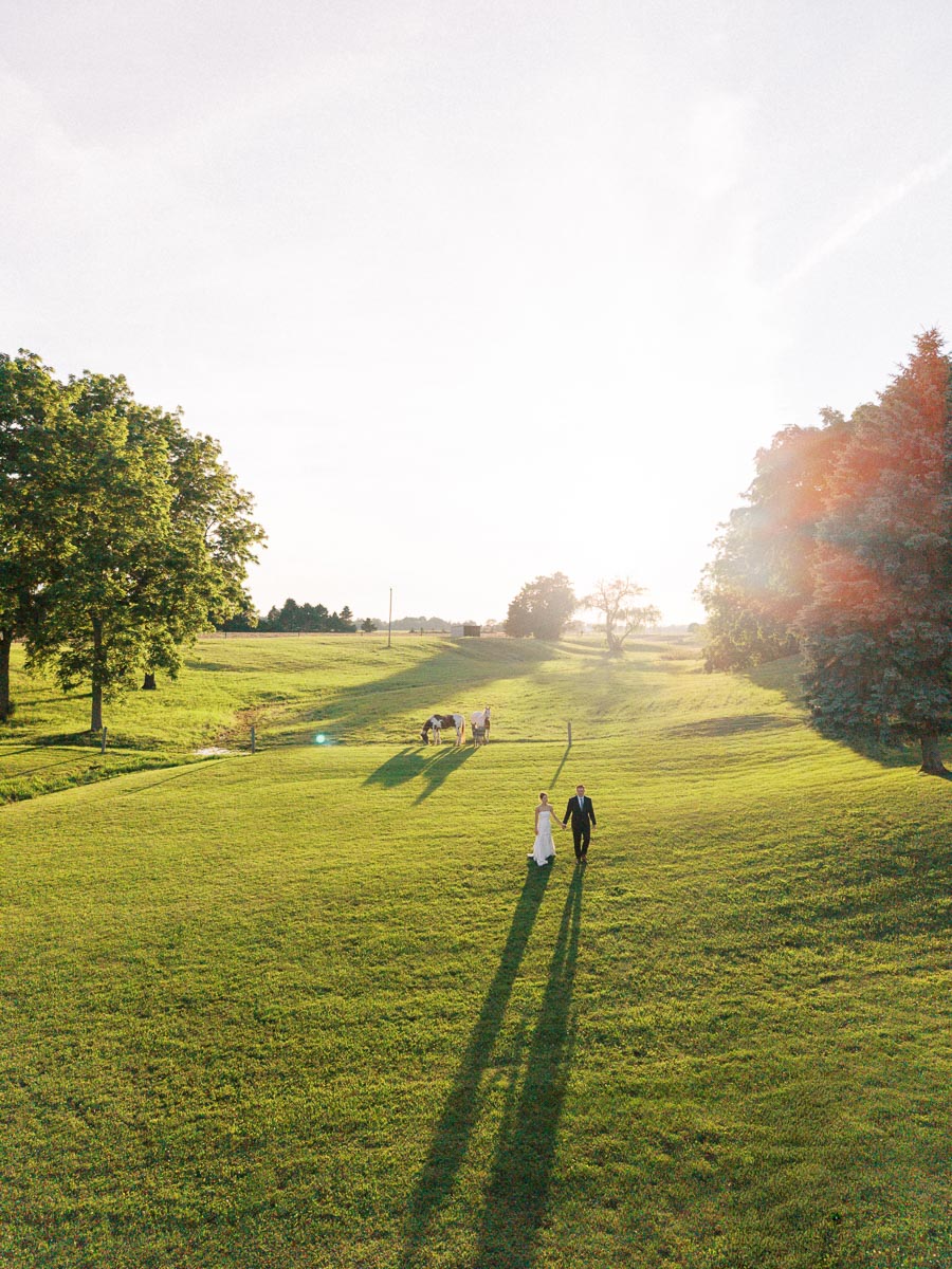 Bride and groom walking across a sunlit farm field near Chatham-Kent, Ontario, with horses grazing in the background.