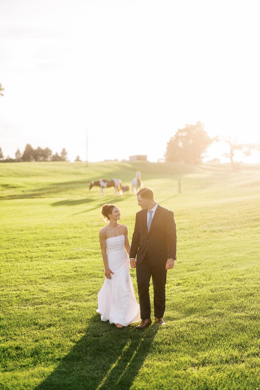 Bride and groom holding hands in a sunlit green farm field with horses in the background near Chatham-Kent, Ontario, Canada.
