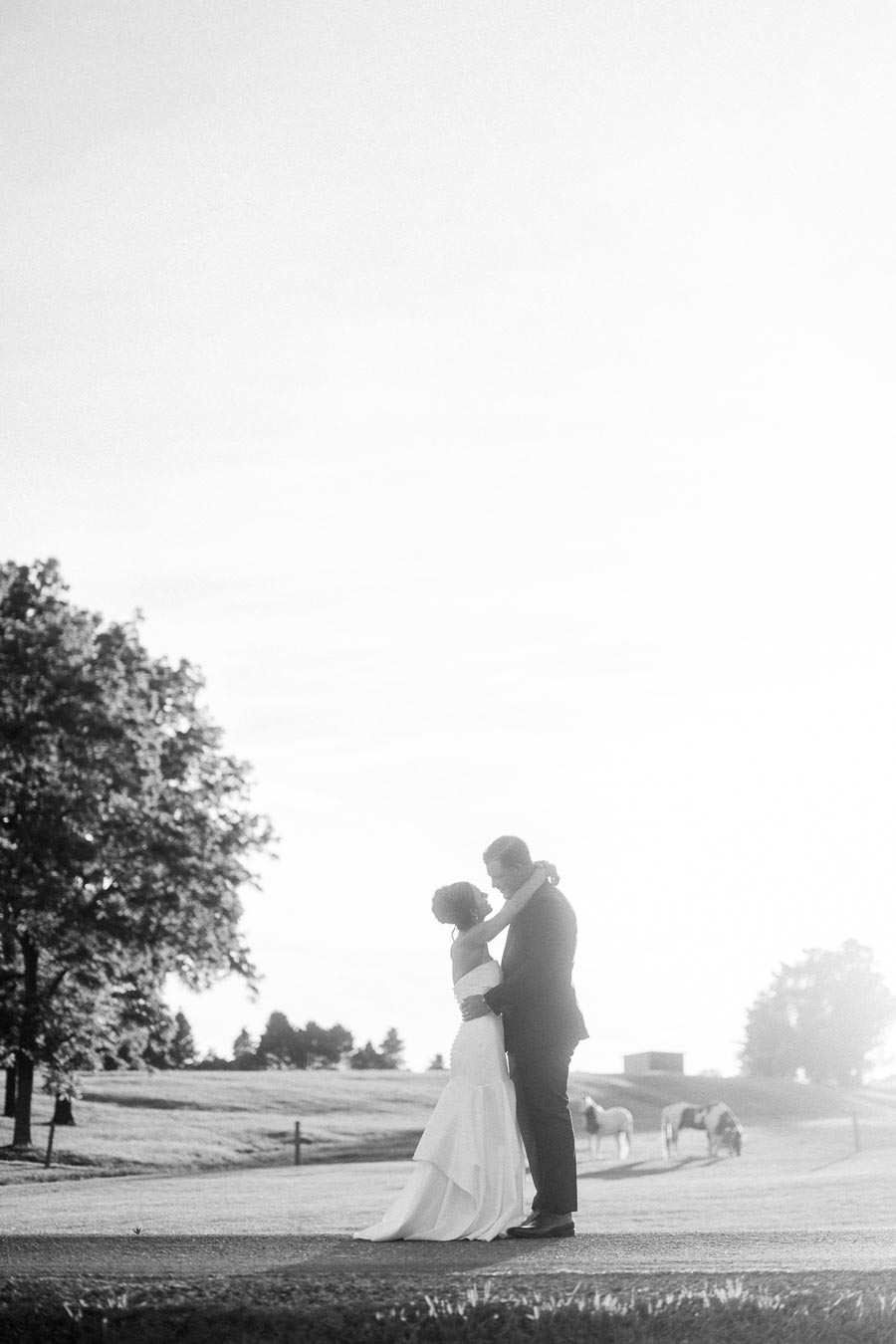 Black and white outdoor wedding portrait of bride and groom embracing on a rural private estate road near Chatham-Kent, Ontario, with horses in the field.
