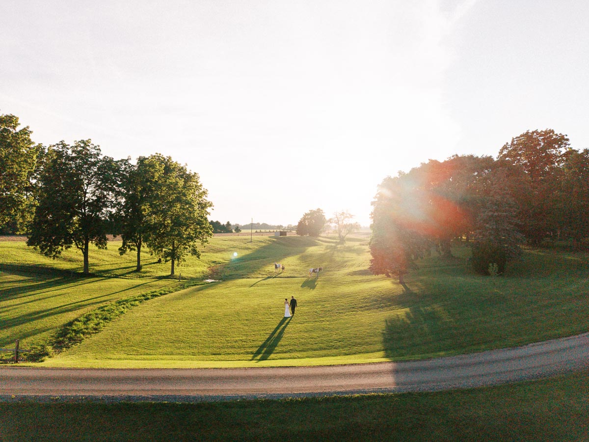 Bride and groom standing in a sunlit farm field near Chatham-Kent, Ontario, with trees, grass, long shadows, and a rural road at golden hour.