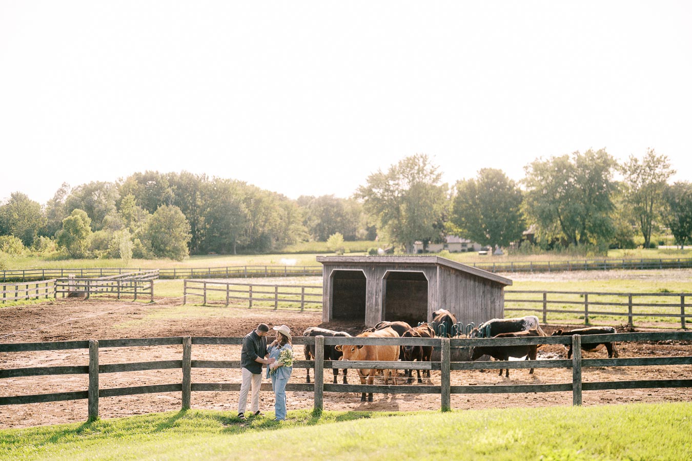 Expectant couple by a fenced horse paddock at The Green Acres