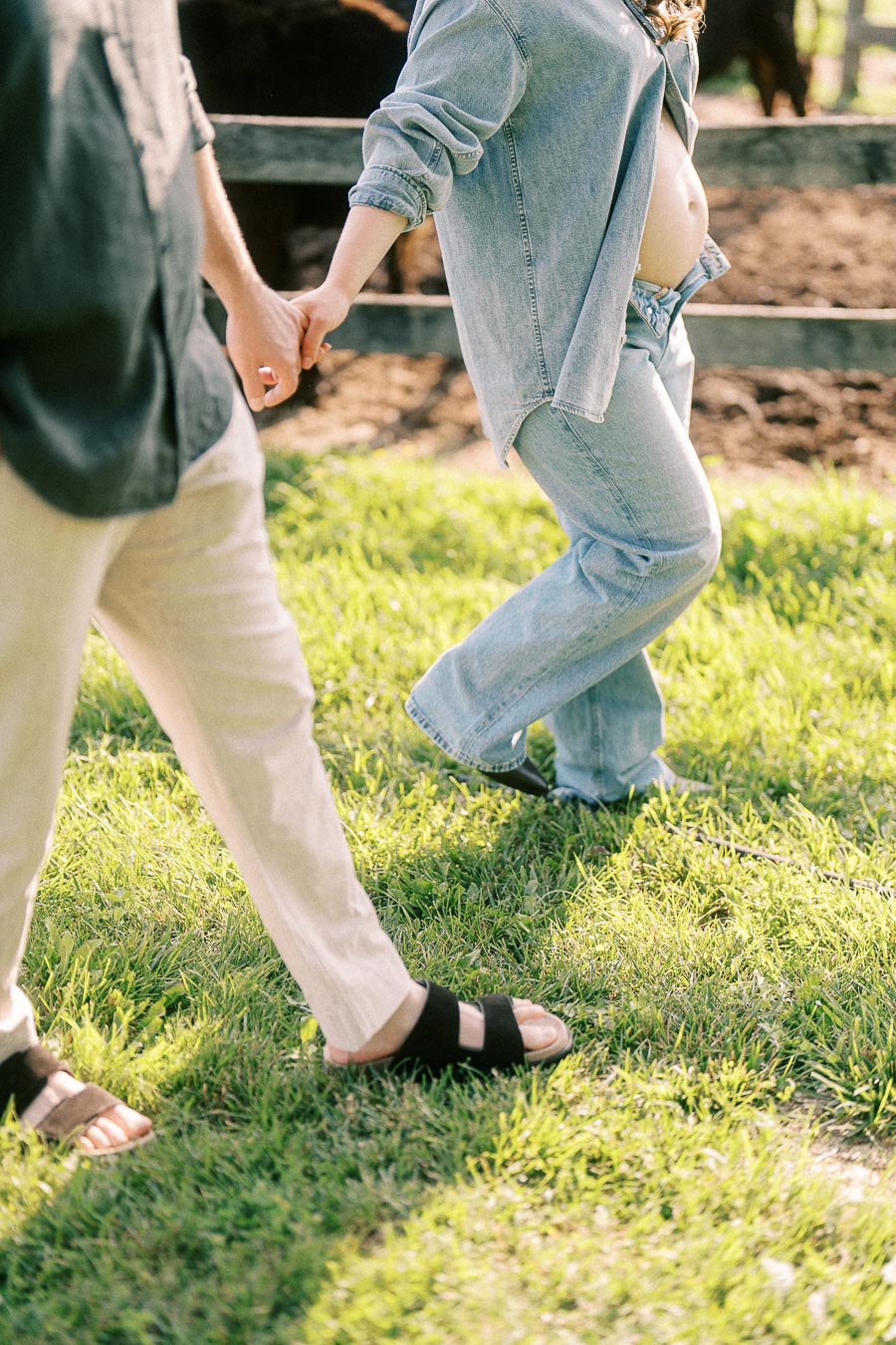 Expectant couple holding hands by a horse paddock at The Green Acres