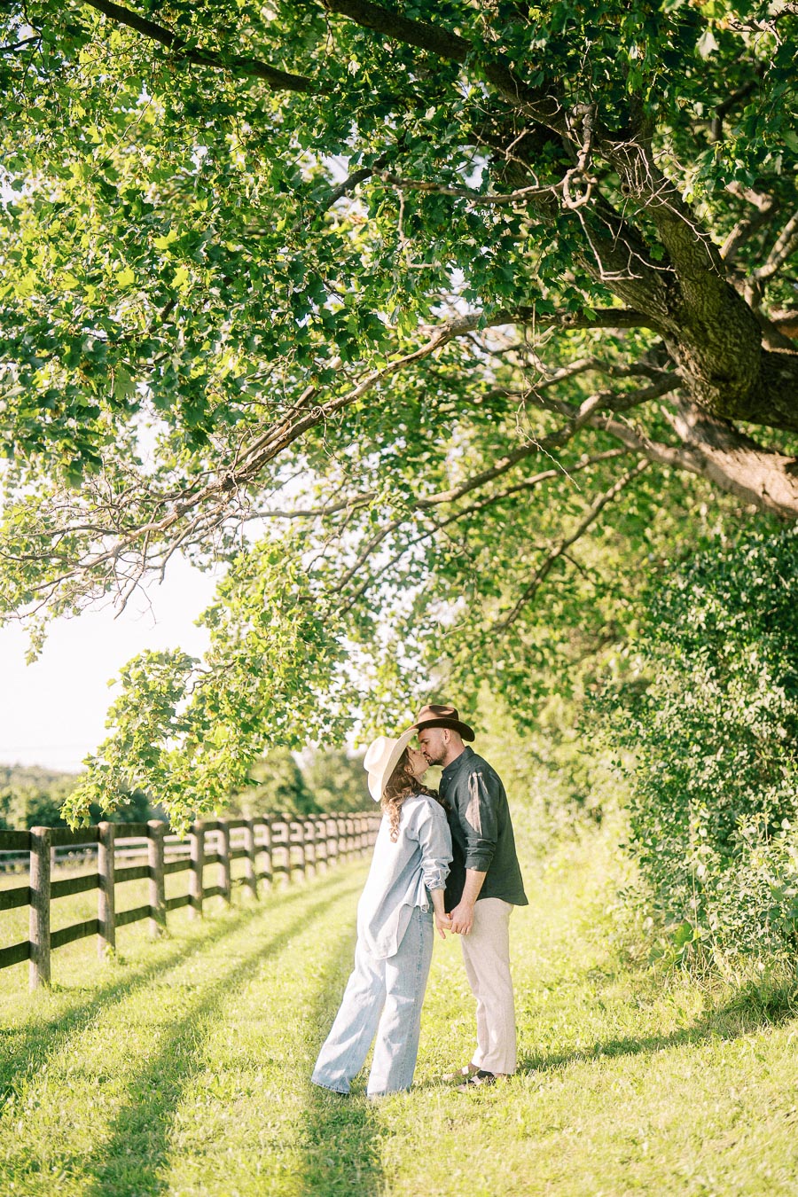Expectant couple kissing under leafy trees beside a farm fence