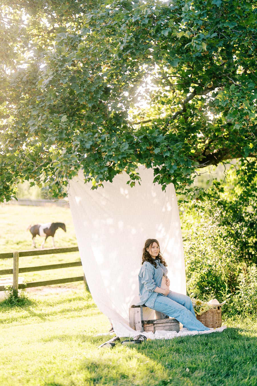 Pregnant woman seated under a tree with horse in fenced pasture