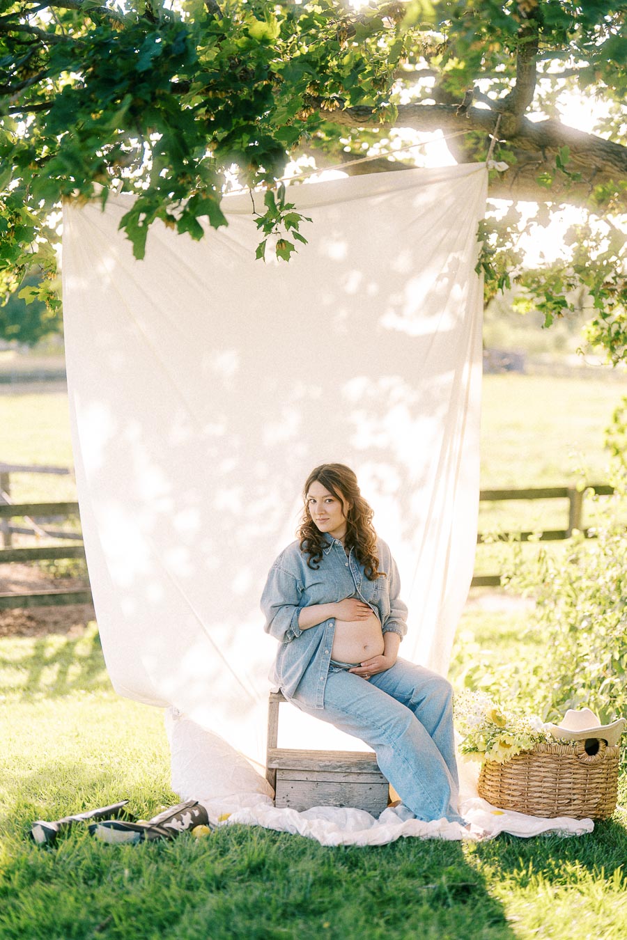 Pregnant woman seated beneath a tree with white fabric backdrop in Flamborough, Ontario
