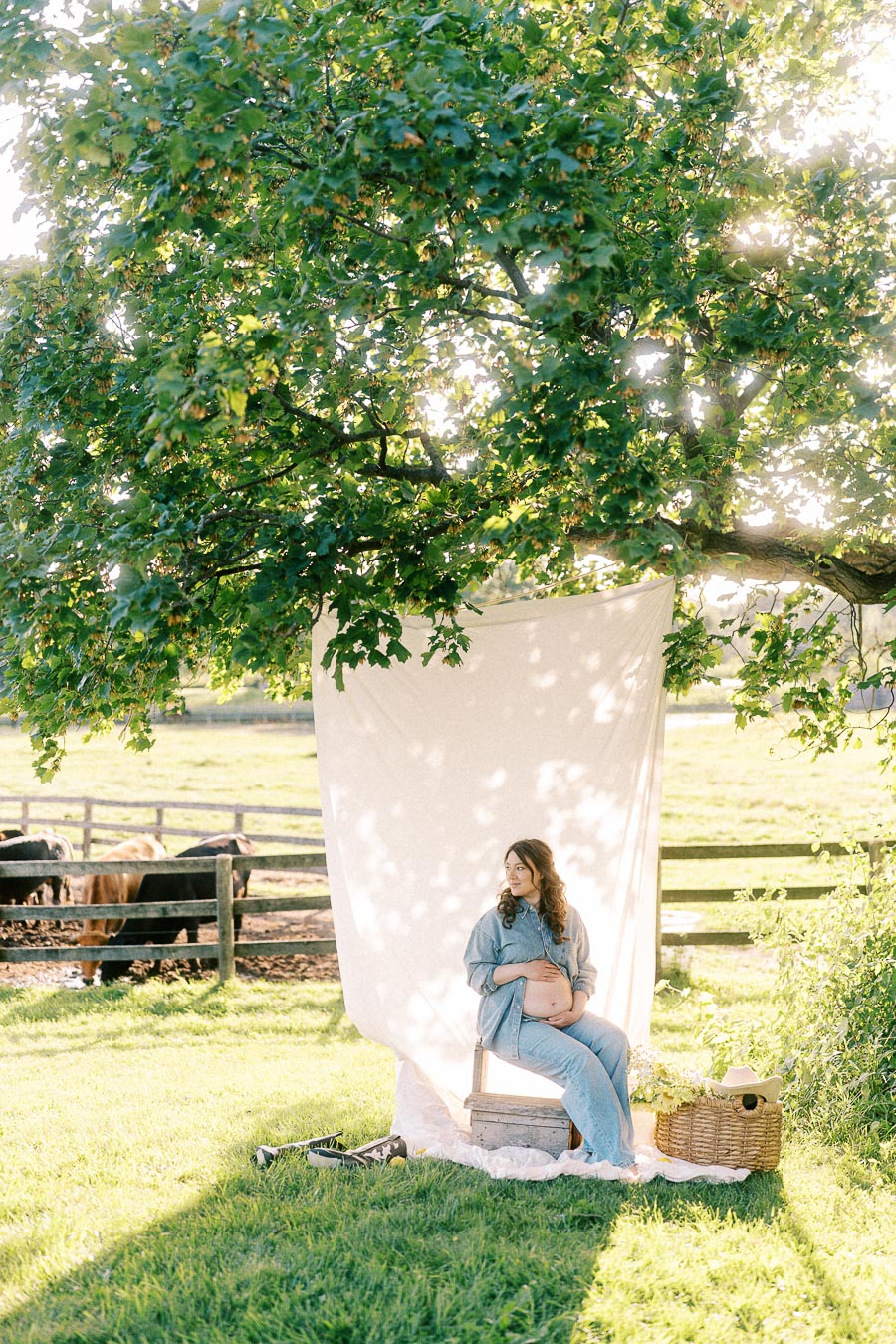 Pregnant woman seated beneath a tree near horses at The Green Acres