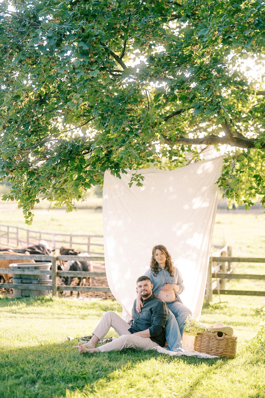 Expectant couple seated under a tree at The Green Acres farm
