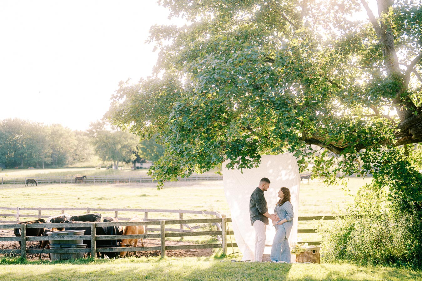 Expectant couple standing by a white backdrop beside a fenced horse paddock