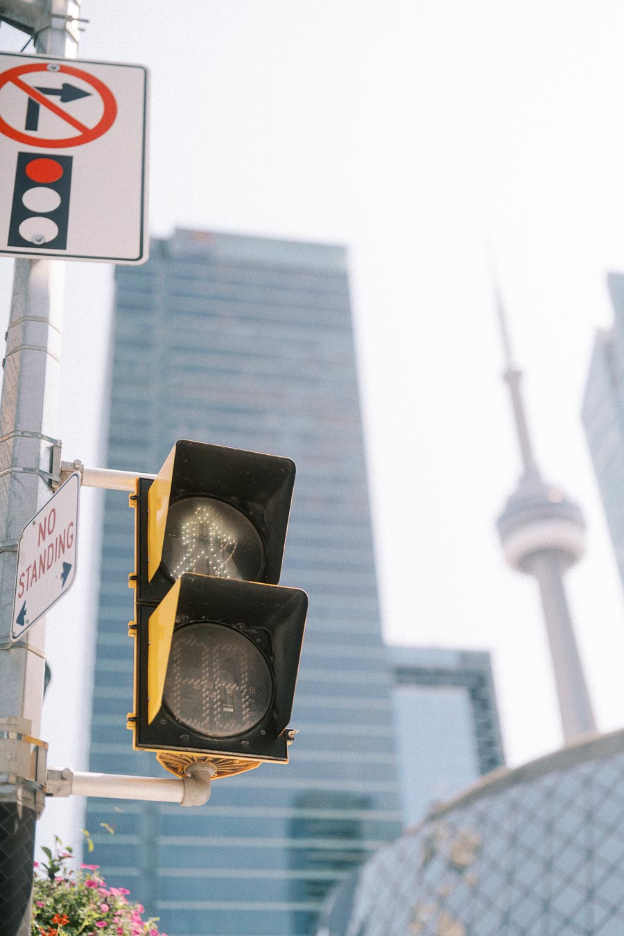 Pedestrian signal and street signs with the CN Tower blurred in downtown Toronto