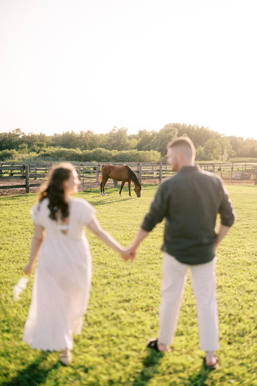 Expectant couple holding hands in a pasture with a grazing horse at The Green Acres