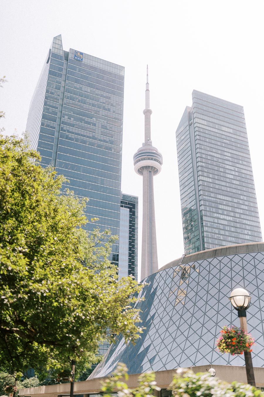 CN Tower framed by downtown Toronto glass towers and leafy trees