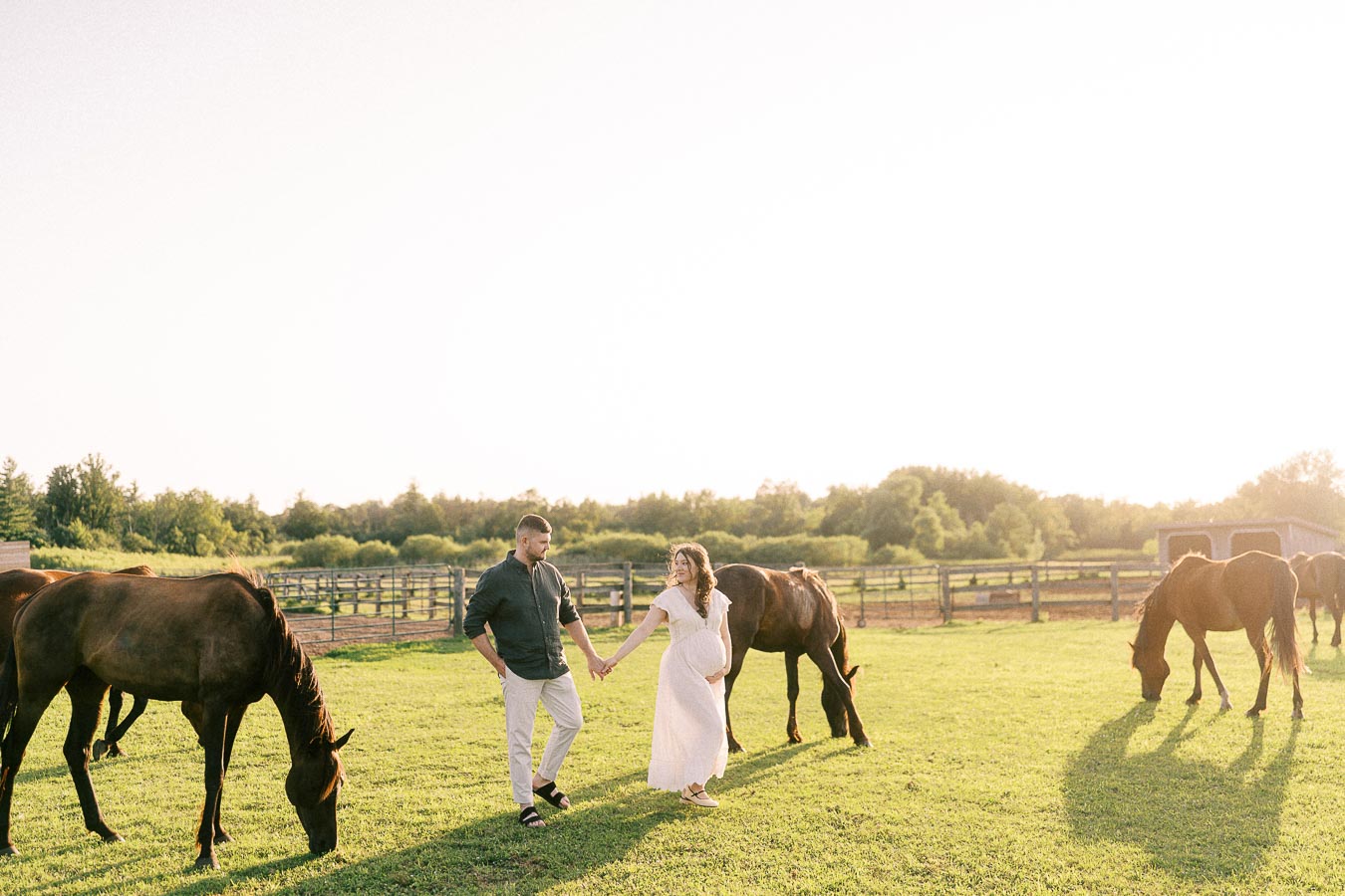 Expectant couple holding hands in a horse pasture at The Green Acres