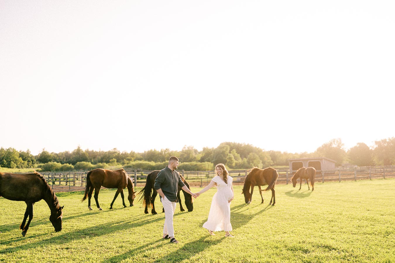 Pregnant couple walking hand in hand among grazing horses at The Green Acres
