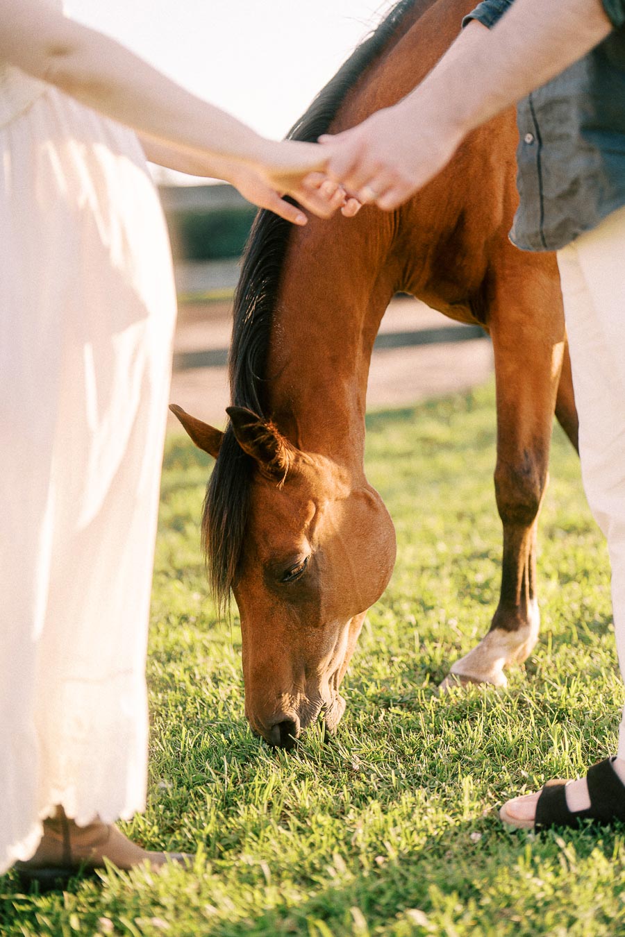 Couple holding hands beside a grazing horse at The Green Acres