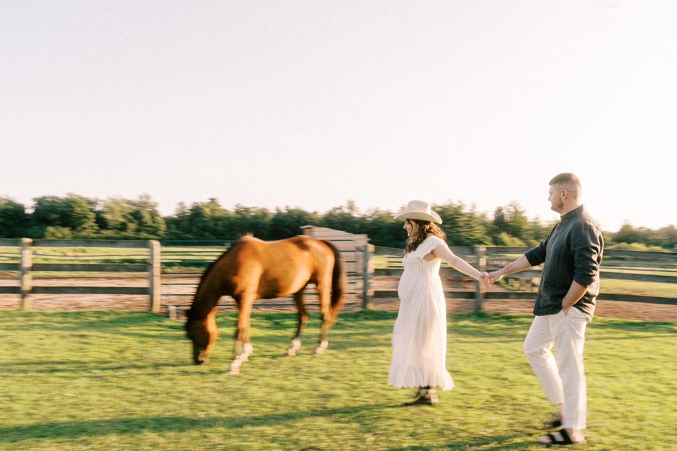 Expectant couple holding hands in a grassy paddock with a grazing horse