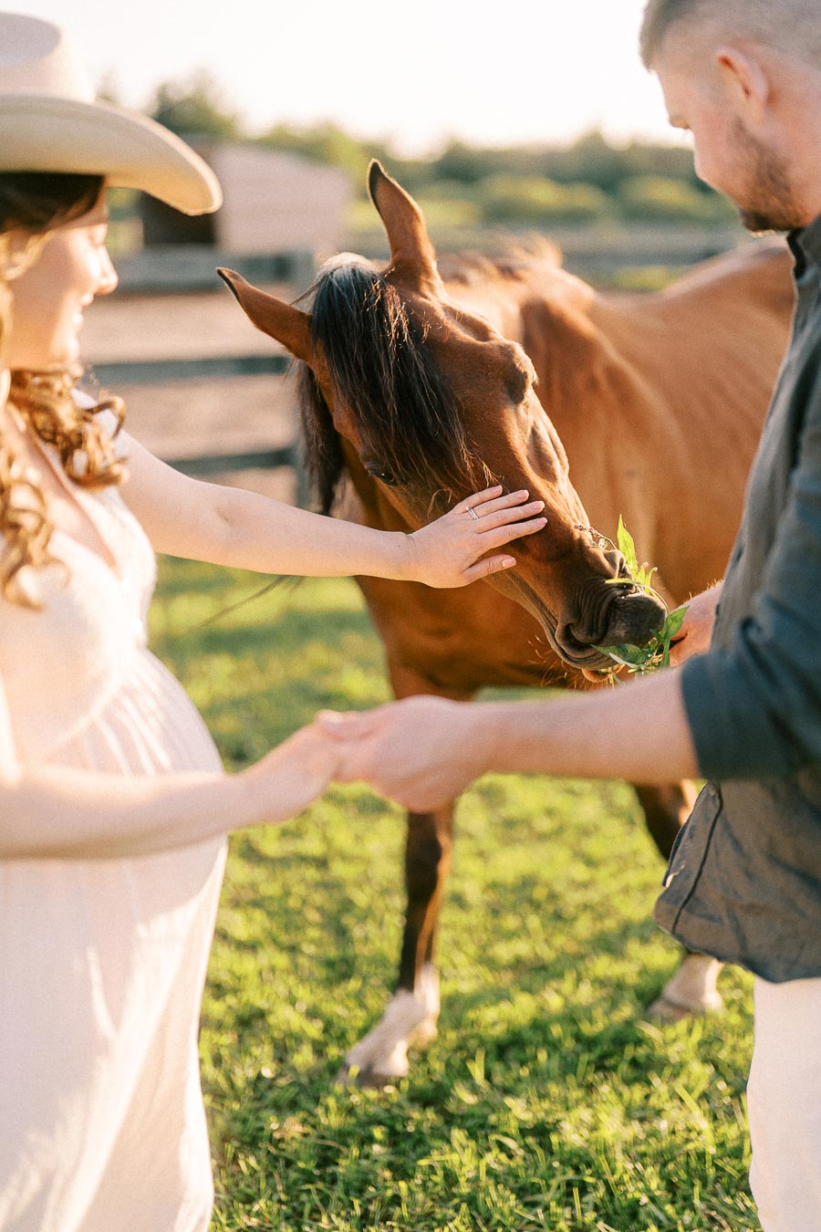 Pregnant woman in a cowboy hat petting a horse beside her partner