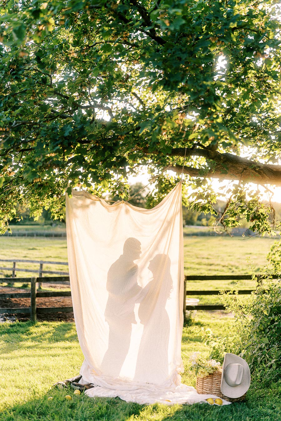Expectant couple silhouetted behind fabric under a tree at The Green Acres
