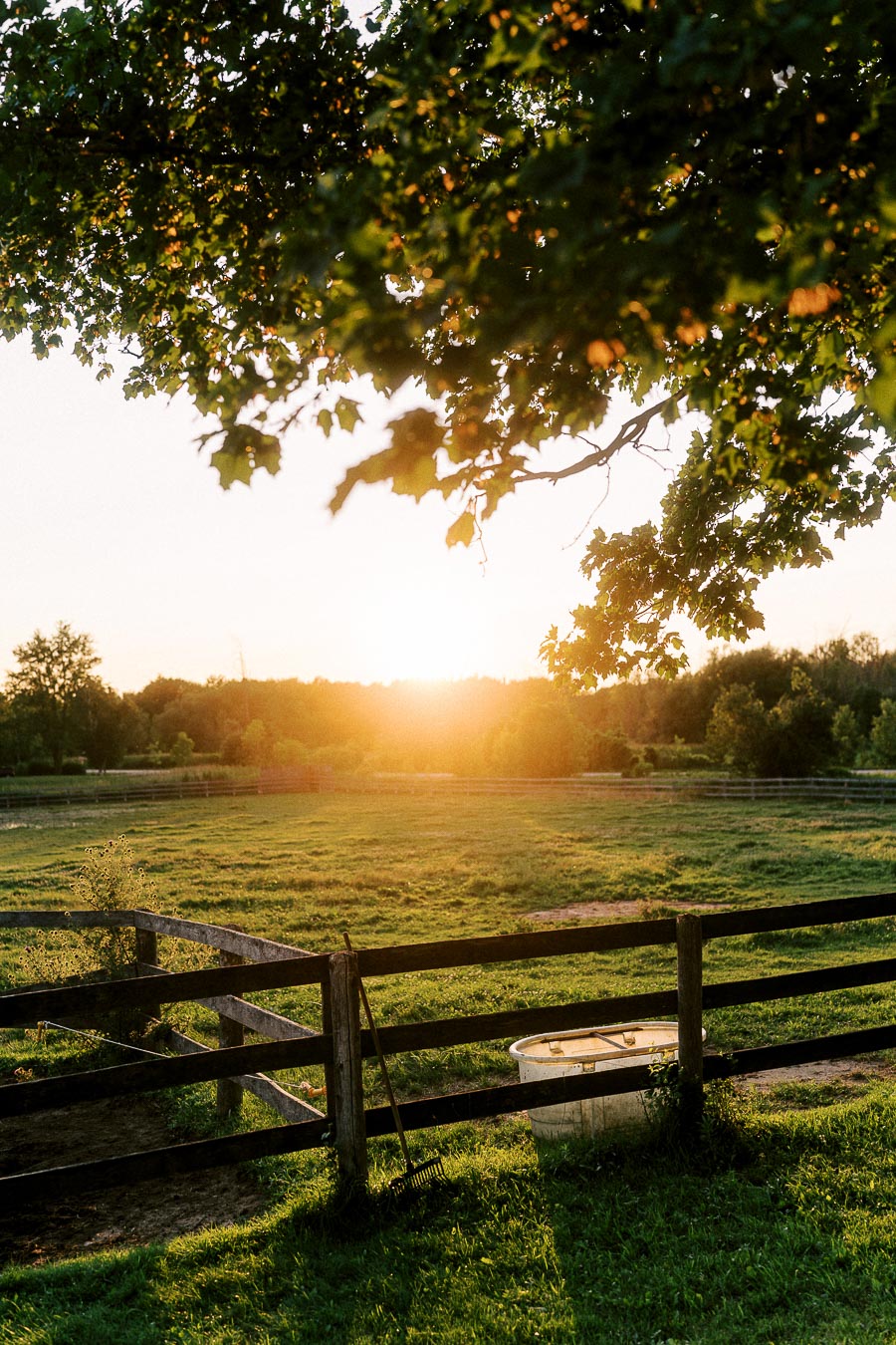 Sunset over fenced pasture at The Green Acres in Flamborough, Ontario