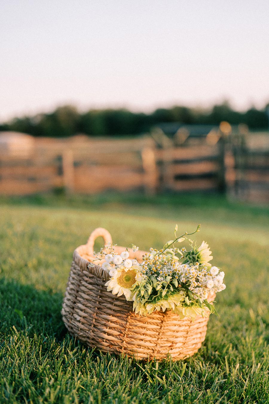 Woven basket of daisies and greenery on grass at The Green Acres