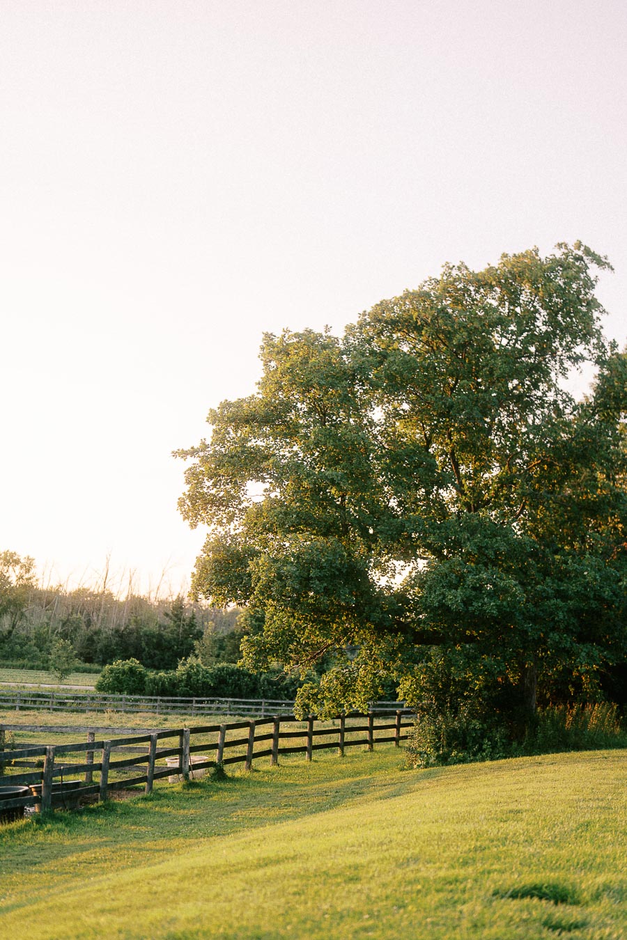 Fenced green pasture and large trees at The Green Acres in Flamborough, Ontario