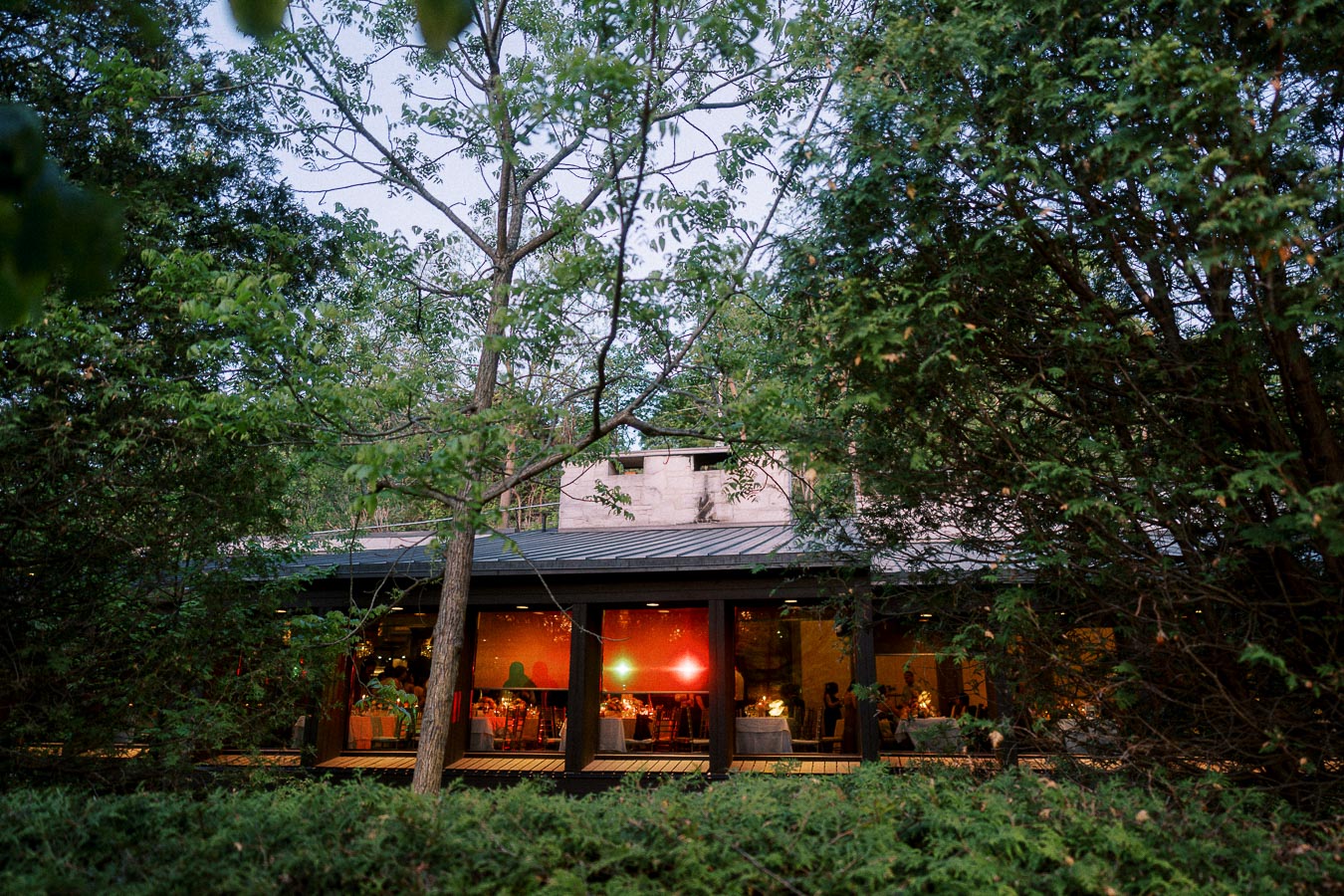 Exterior view of a well-lit, cozy restaurant nestled in a lush forest setting, surrounded by tall trees and greenery, highlighting a warm and inviting dining atmosphere.