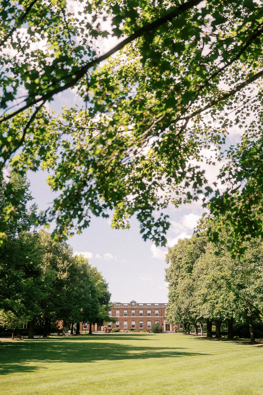 Sunlit campus lawn framed by leafy trees with a brick school building in the distance.