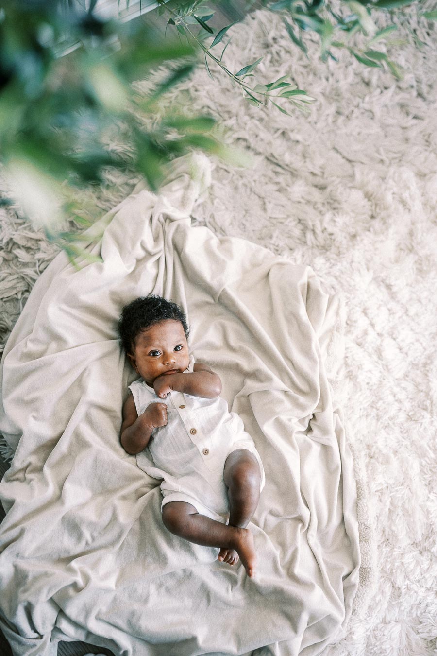 Baby Isabella lying on a white blanket beneath soft green leaves at home