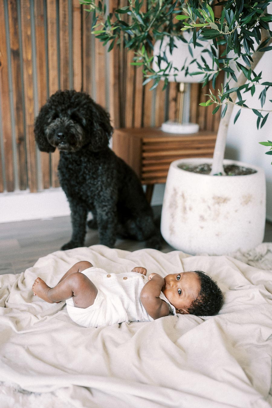 Baby Isabella lies on a cream blanket with a black family dog nearby.