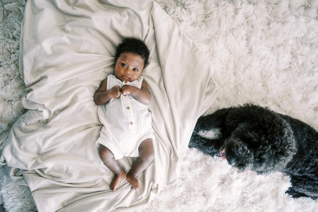 Baby Isabella lies on a cream blanket beside a black dog on a shag rug.
