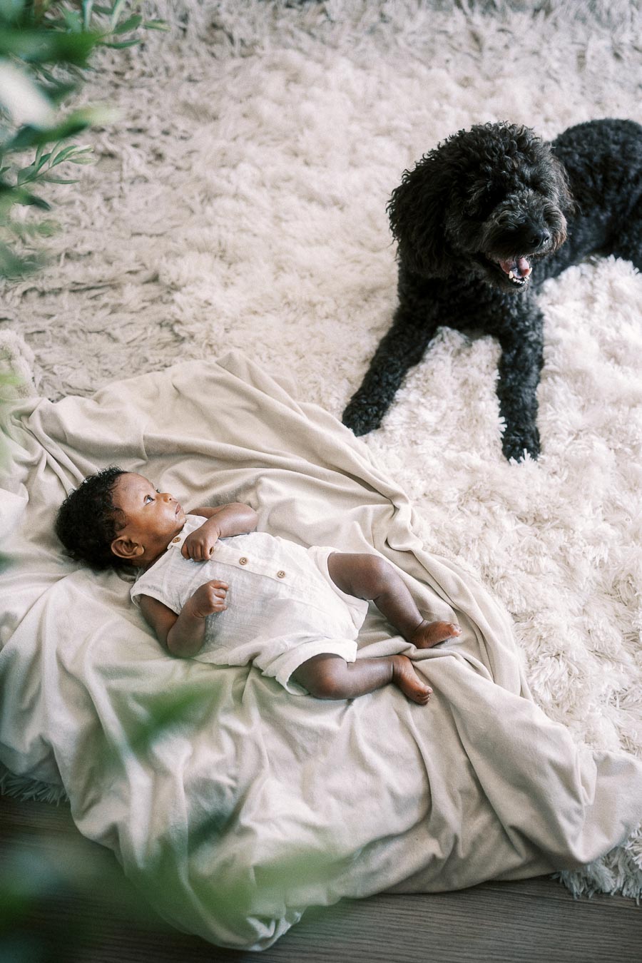 Newborn Isabella lies on a blanket beside the family dog on a fluffy rug.