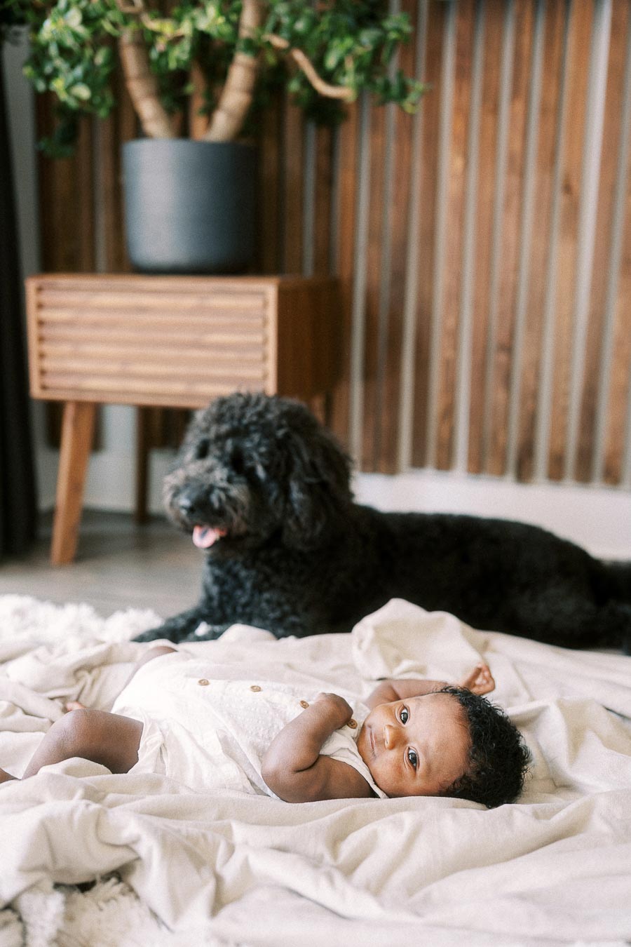 Newborn Isabella lies on a white blanket with a black family dog resting behind her.