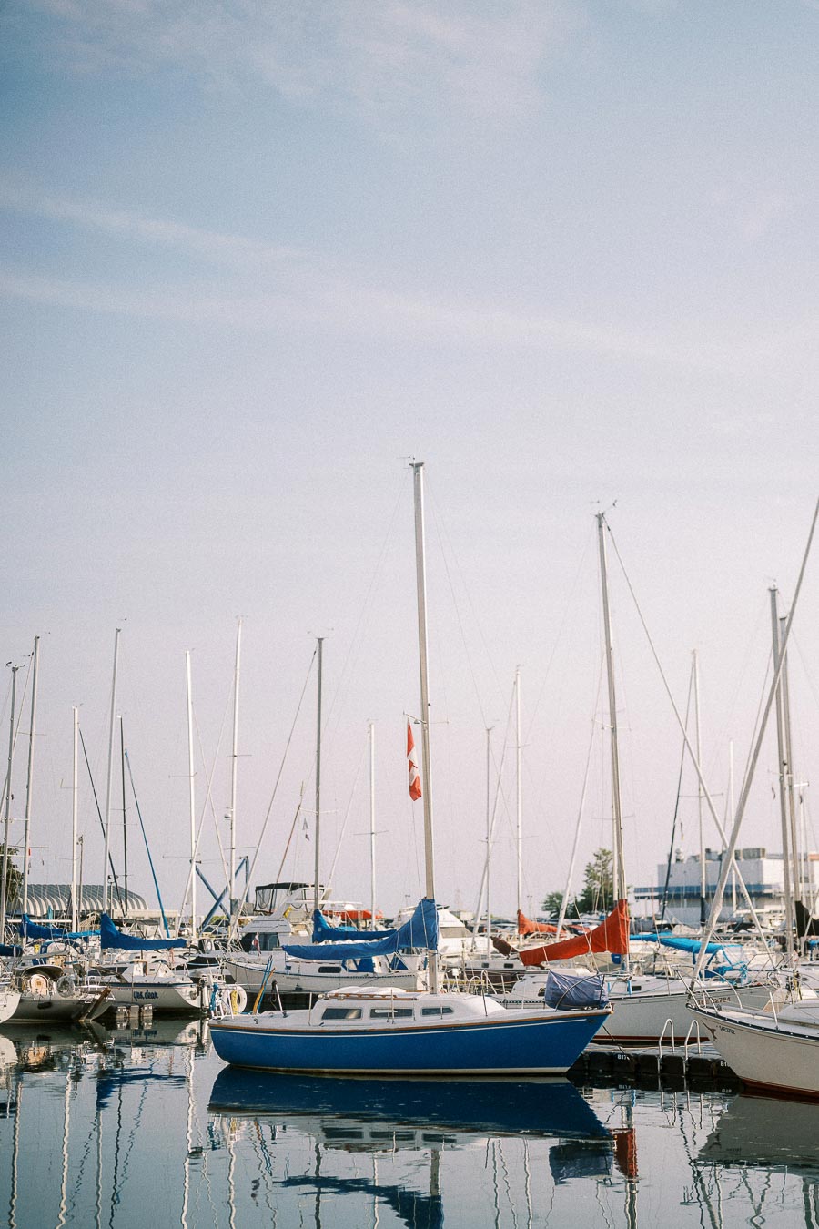 Sailboats moored in a calm Toronto marina with tall masts reflected on the water.