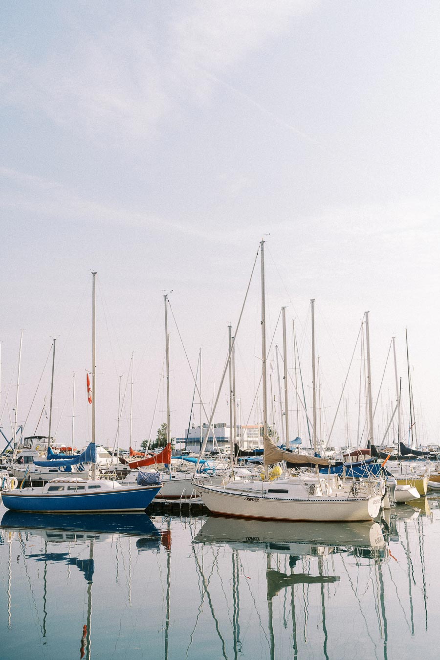 Sailboats and yachts moored in a calm Toronto marina with mast reflections on the water.