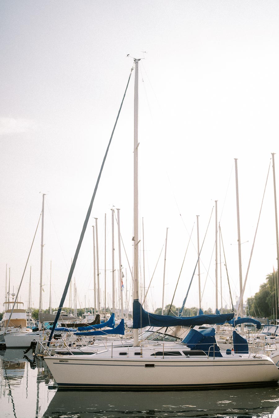 Sailboats with tall masts docked closely together in a calm Toronto waterfront marina.